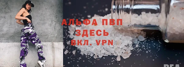 индика Медногорск