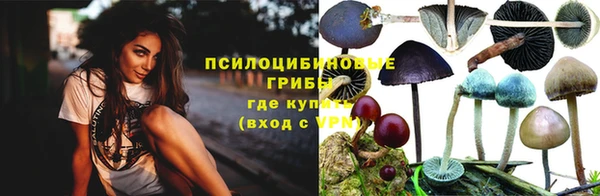 индика Медногорск