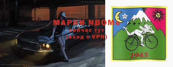 молекула духа Мегион