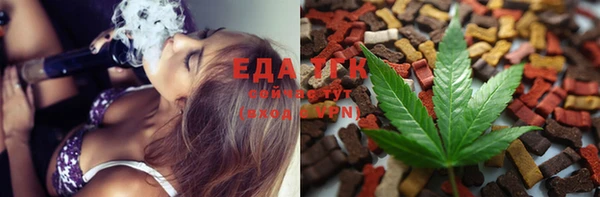 индика Медногорск