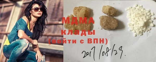 индика Медногорск