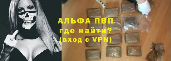 индика Медногорск