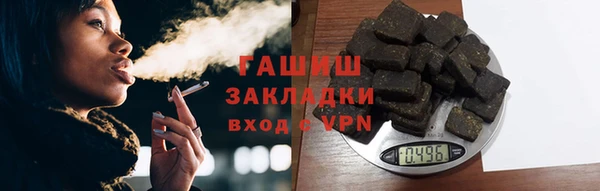 индика Медногорск