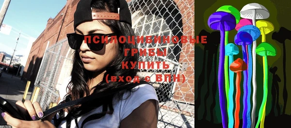 молекула духа Мегион