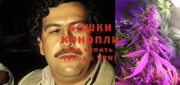 индика Медногорск