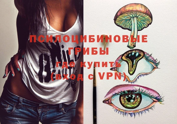 индика Медногорск