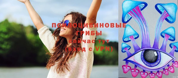 индика Медногорск