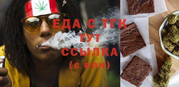 индика Медногорск