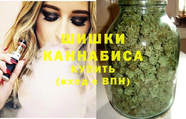 молекула духа Мегион
