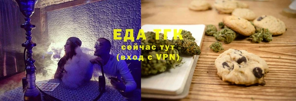 индика Медногорск